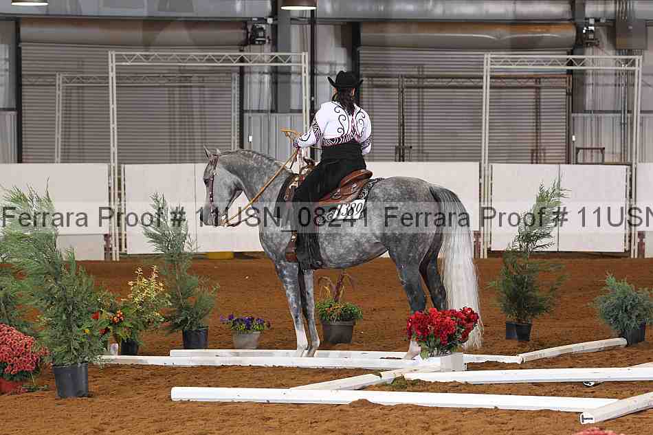 Proof 11usn_08241