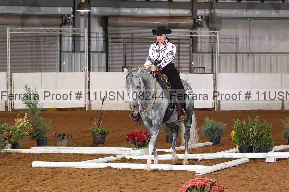 Proof 11usn_08244