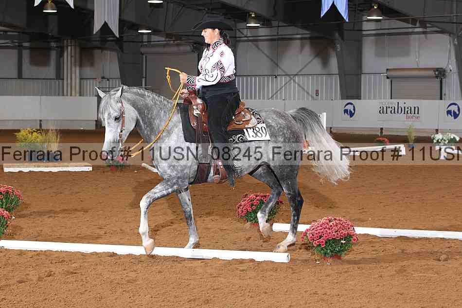 Proof 11usn_08245