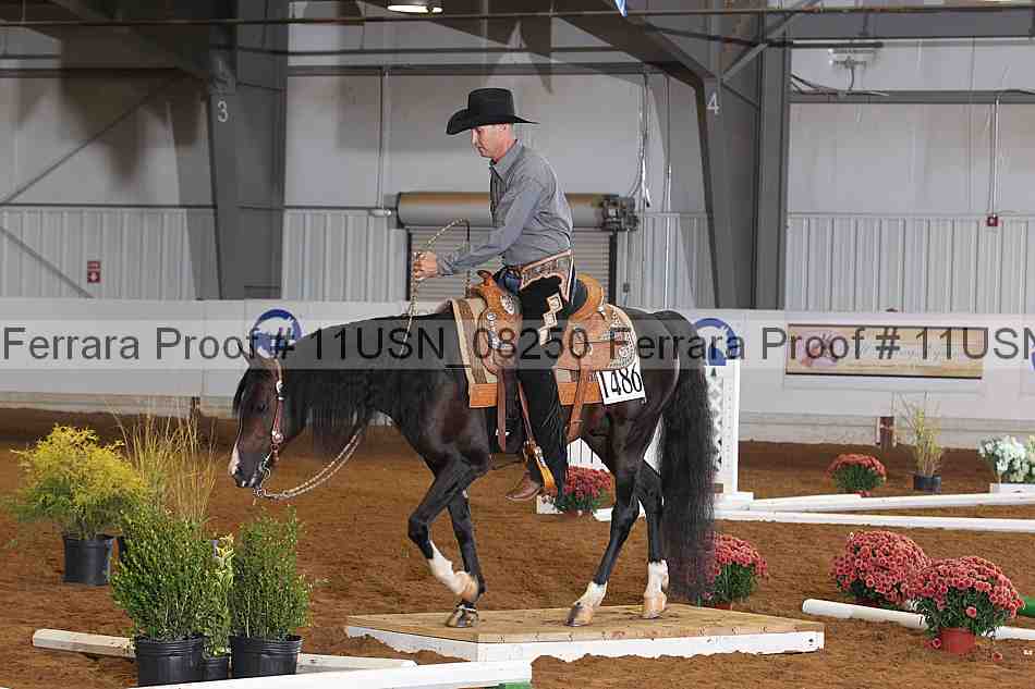 Proof 11usn_08250
