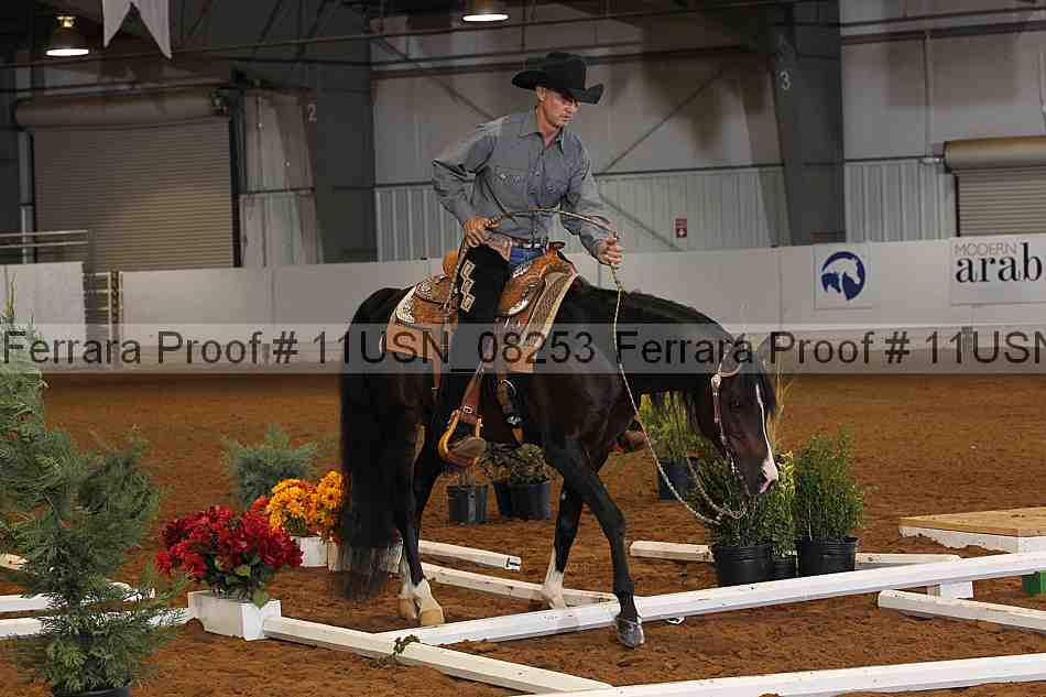 Proof 11usn_08253