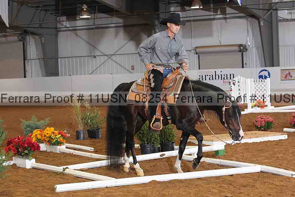 Proof 11usn_08254