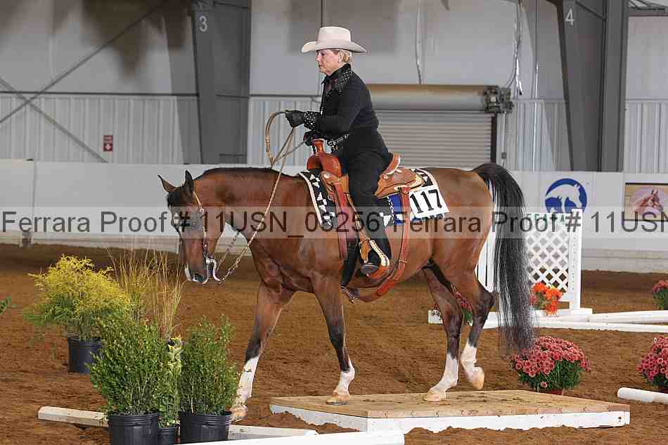 Proof 11usn_08256