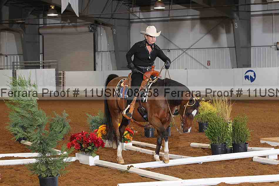 Proof 11usn_08258
