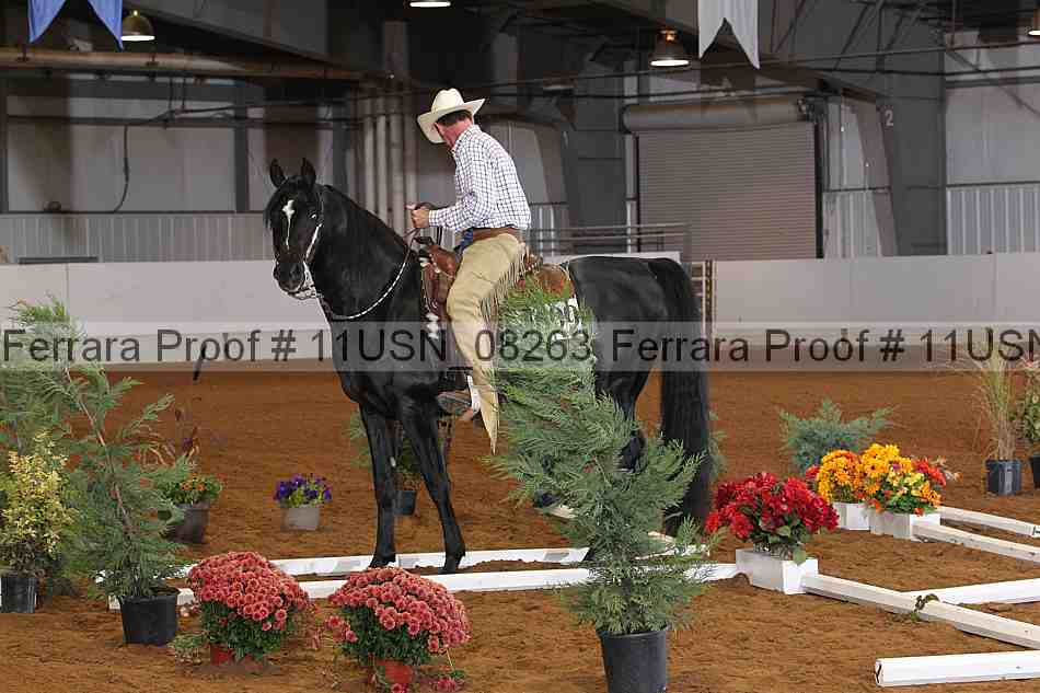 Proof 11usn_08263