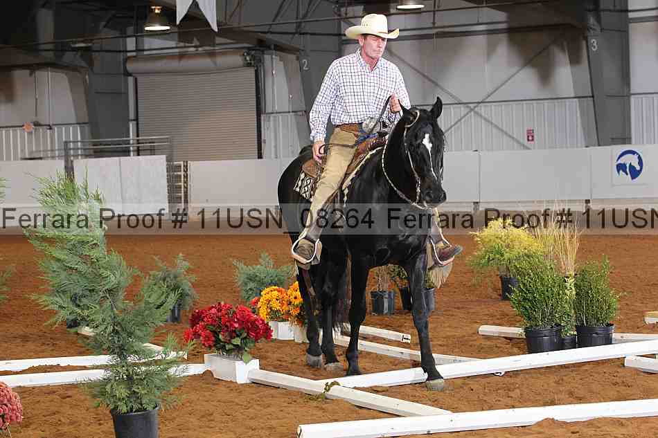 Proof 11usn_08264