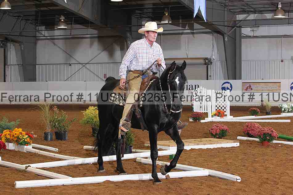 Proof 11usn_08265