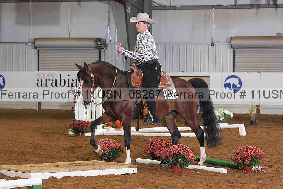 Proof 11usn_08267