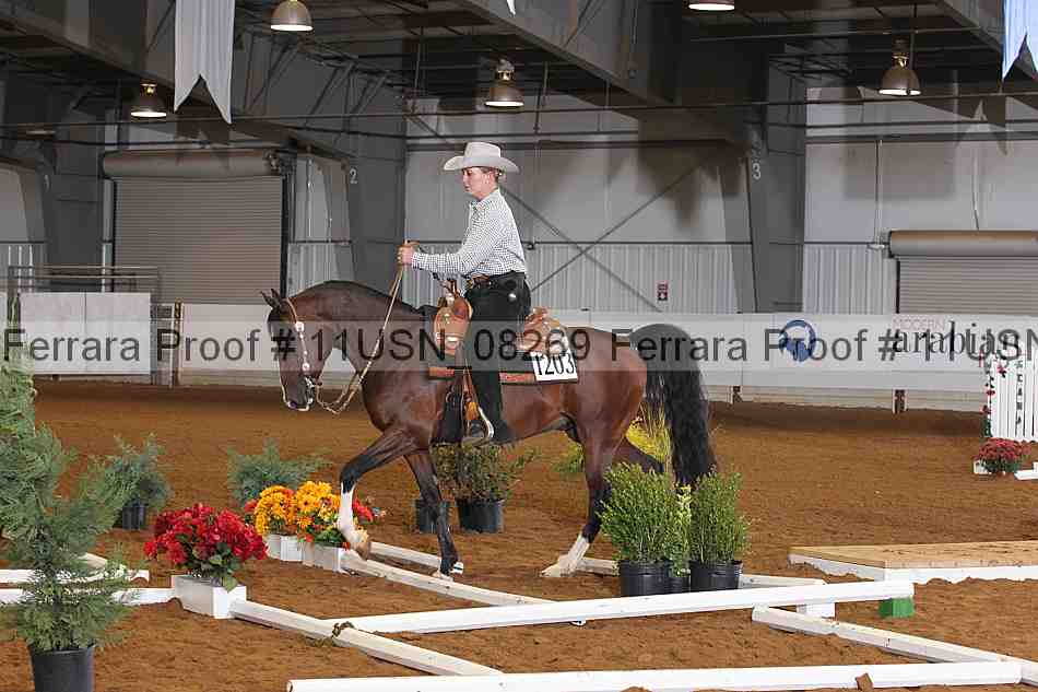 Proof 11usn_08269