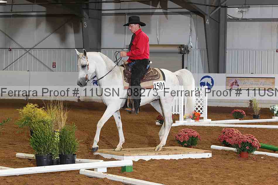 Proof 11usn_08273