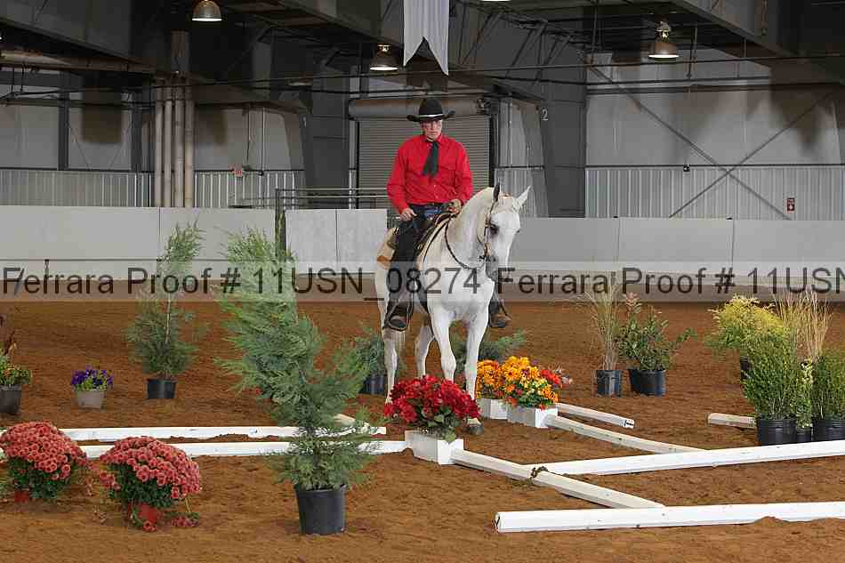 Proof 11usn_08274