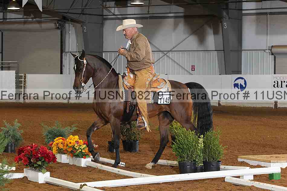 Proof 11usn_08279