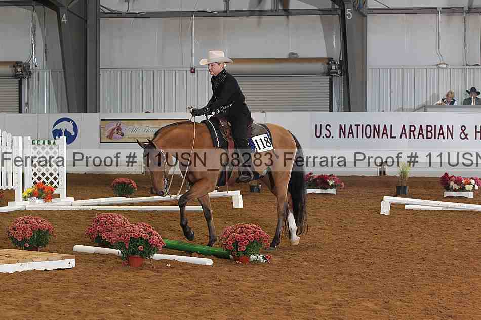 Proof 11usn_08283