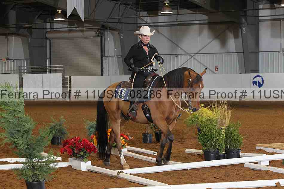 Proof 11usn_08286