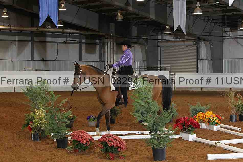Proof 11usn_08294