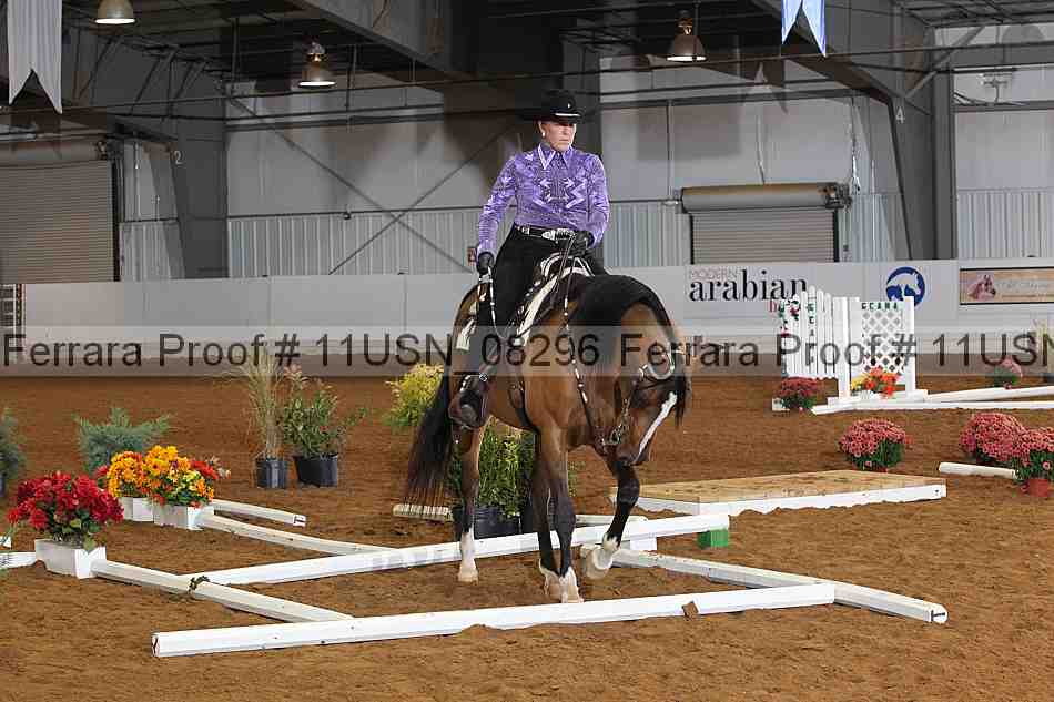 Proof 11usn_08296