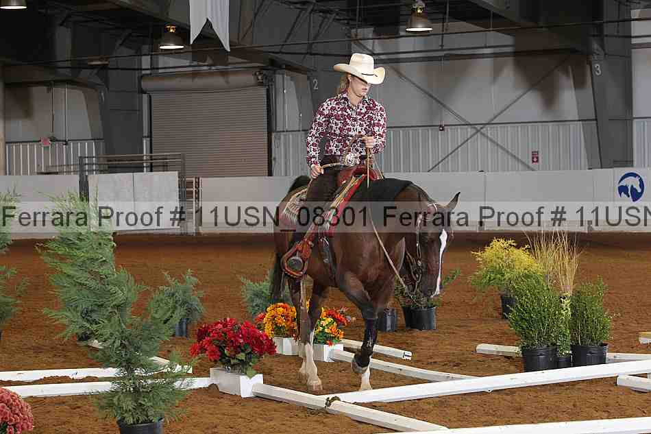 Proof 11usn_08301