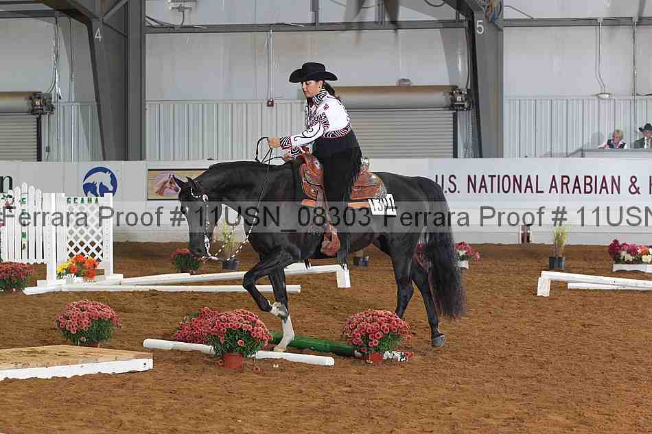 Proof 11usn_08303