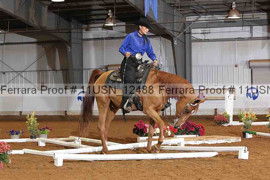 Proof 11usn_12488