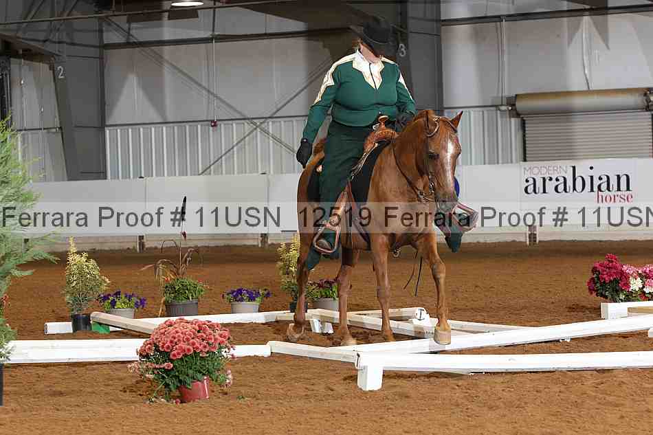 Proof 11usn_12519