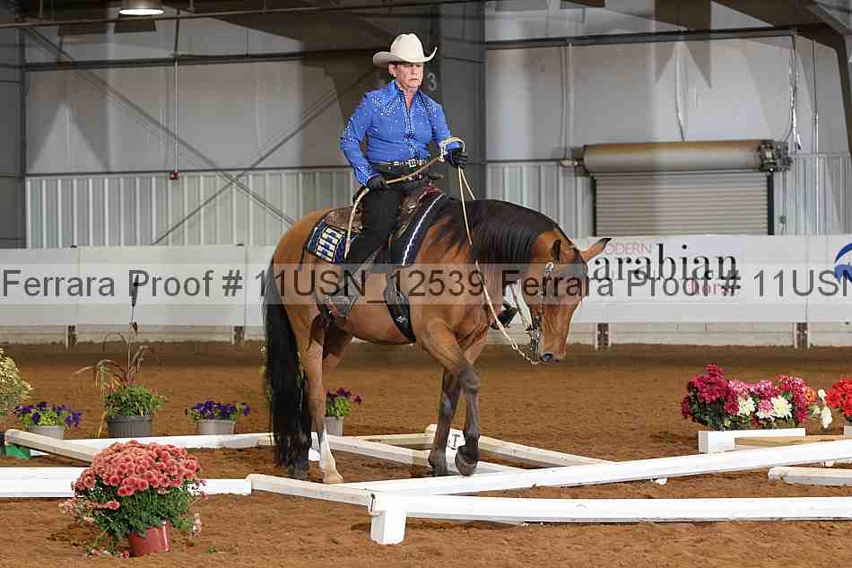 Proof 11usn_12539
