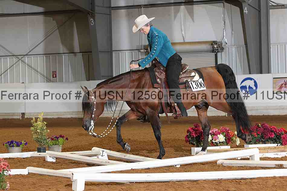 Proof 11usn_12560