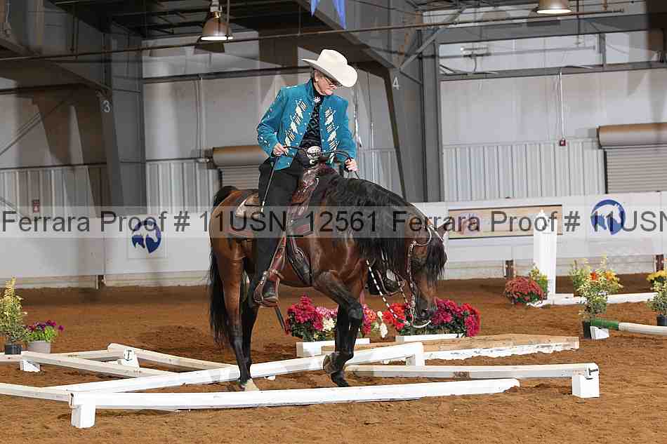 Proof 11usn_12561