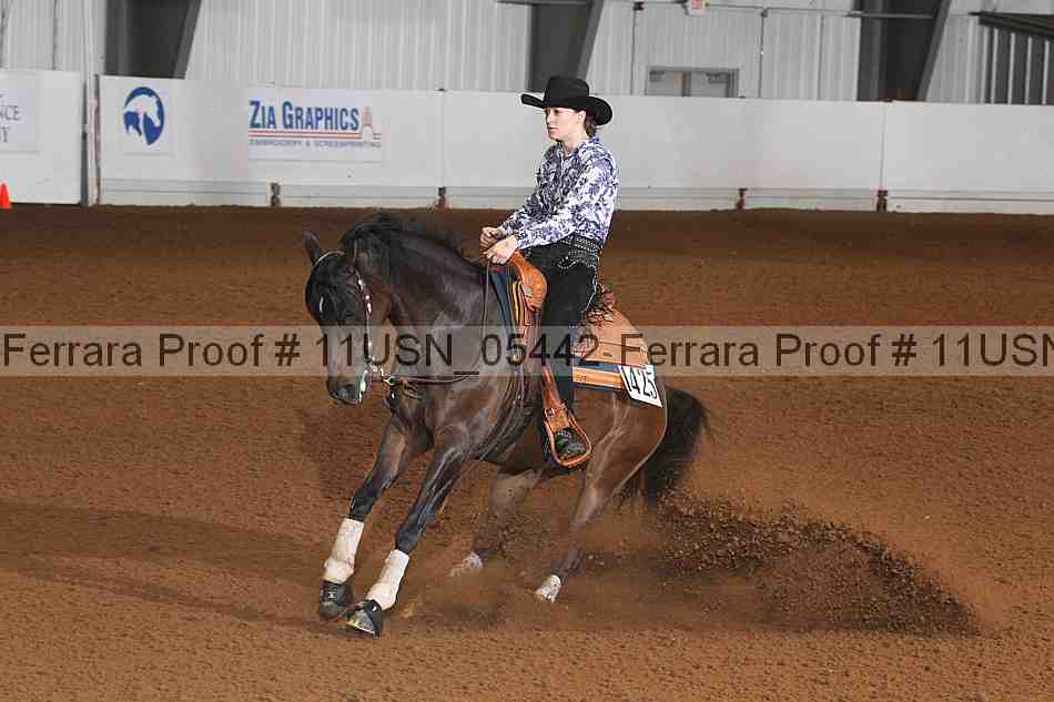 Proof 11usn_05442