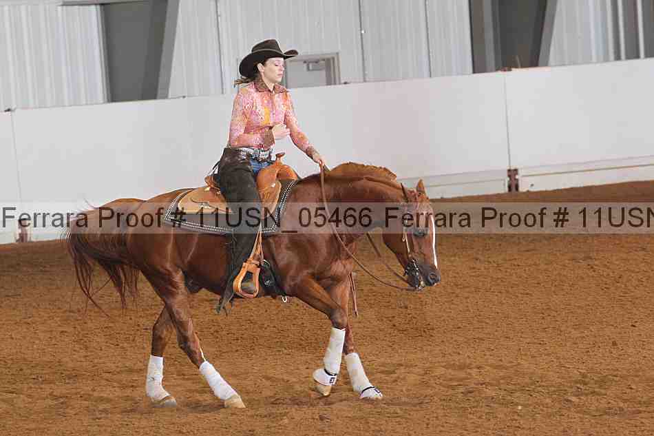 Proof 11usn_05466