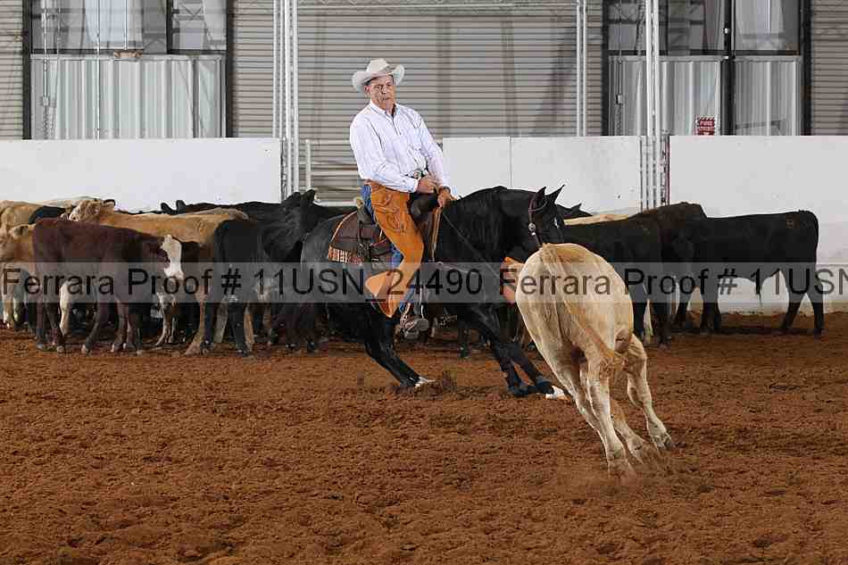 Proof 11usn_24490