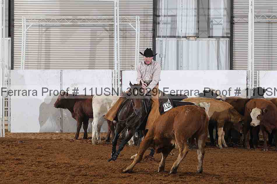 Proof 11usn_30929