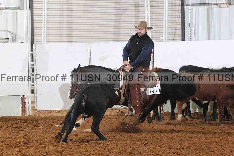 Proof 11usn_30949