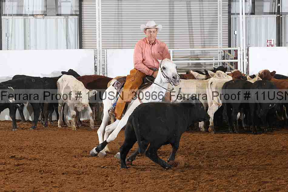 Proof 11usn_30966