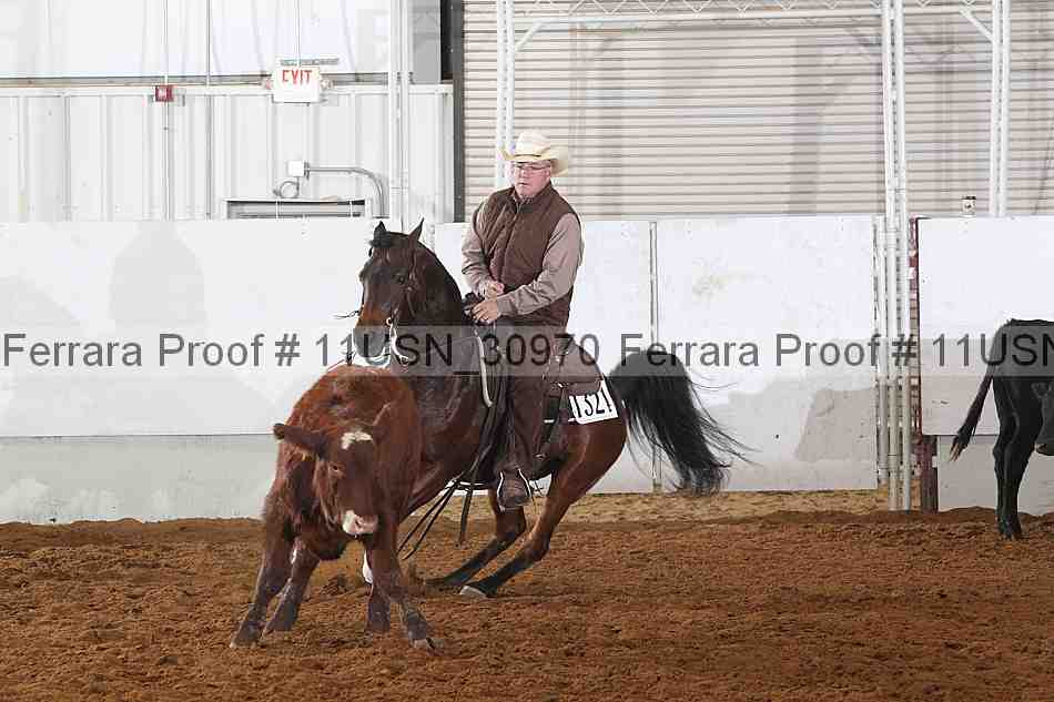 Proof 11usn_30970