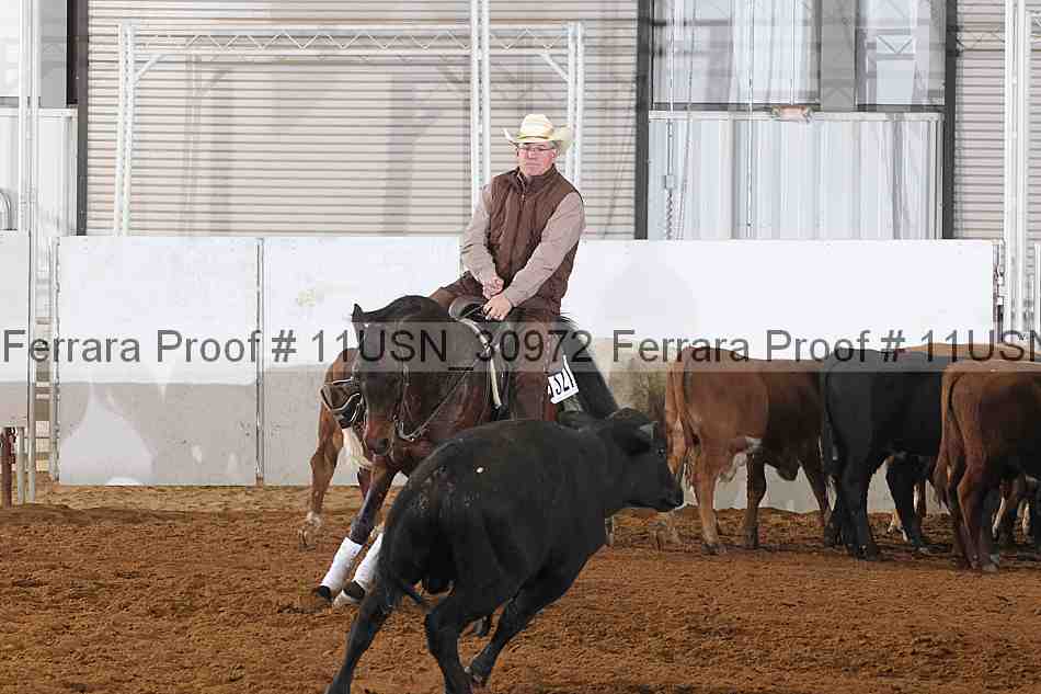 Proof 11usn_30972