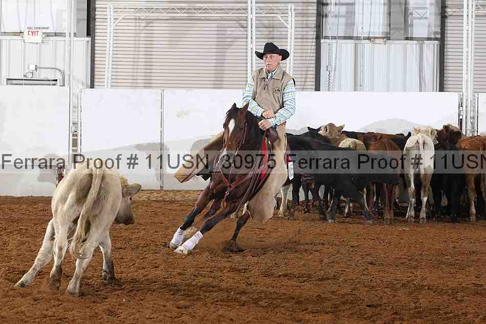 Proof 11usn_30975