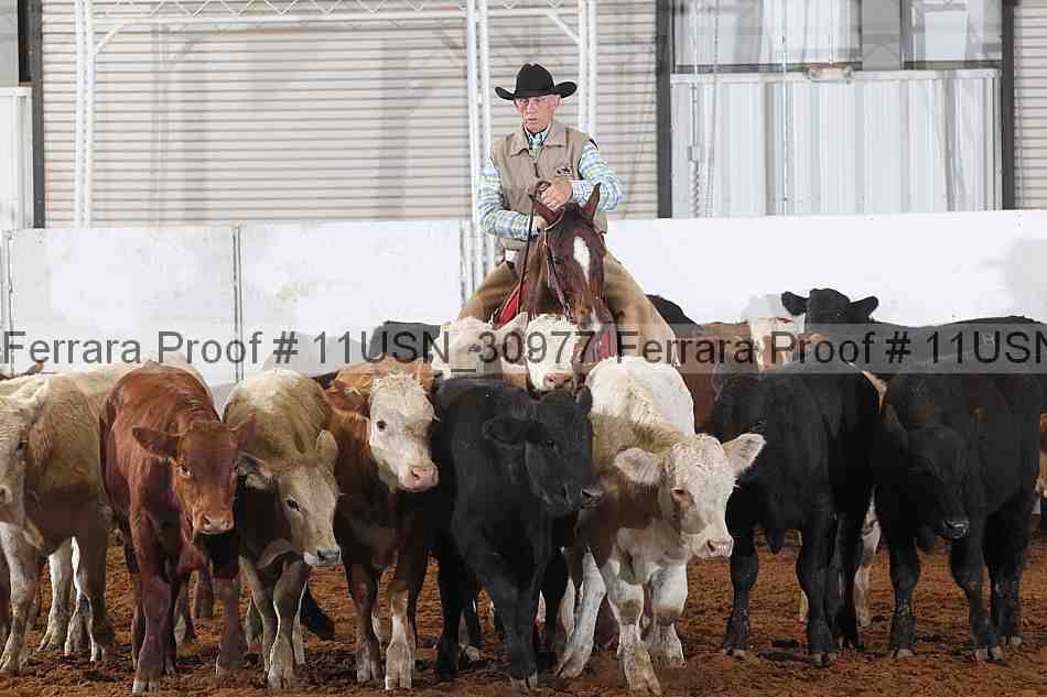 Proof 11usn_30977