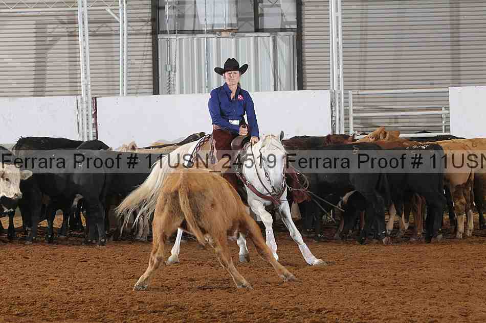 Proof 11usn_24519