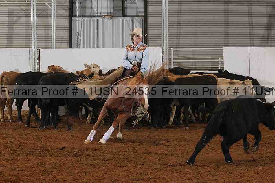 Proof 11usn_24535