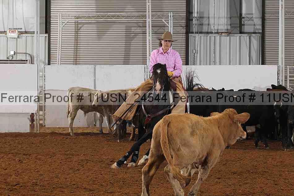 Proof 11usn_24544