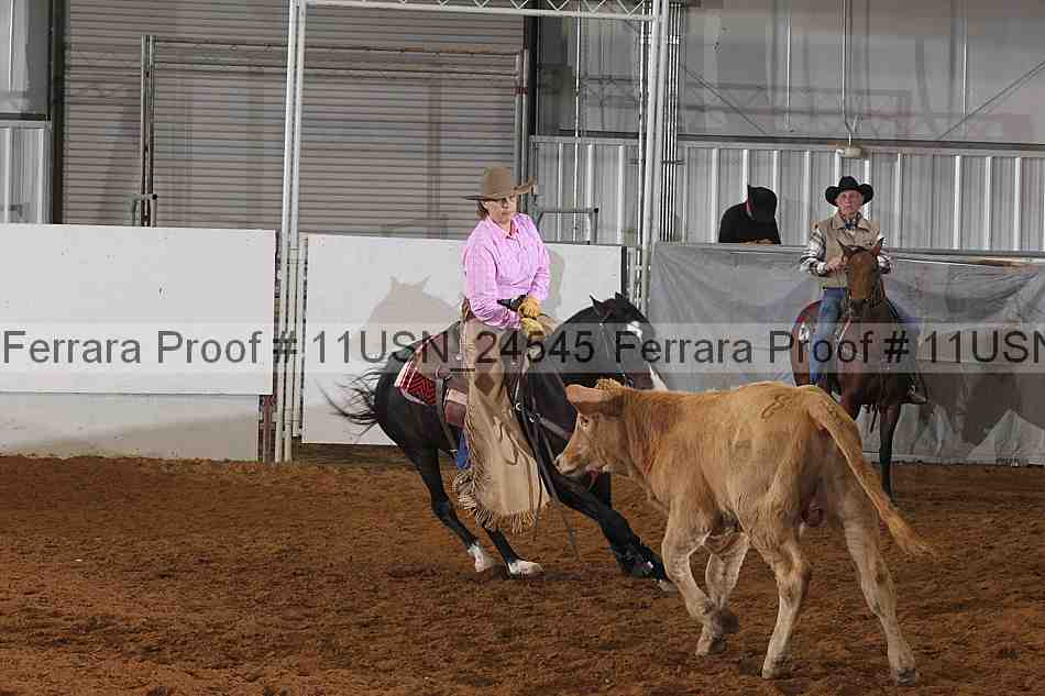 Proof 11usn_24545