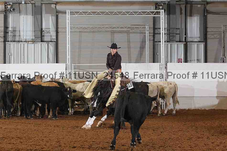 Proof 11usn_24548