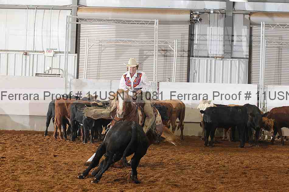 Proof 11usn_31081