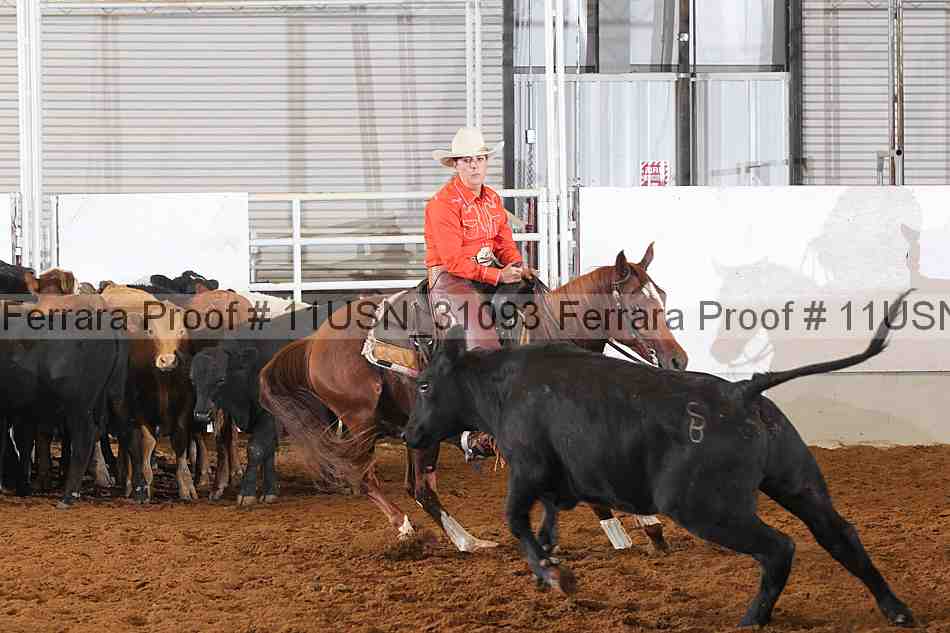 Proof 11usn_31093