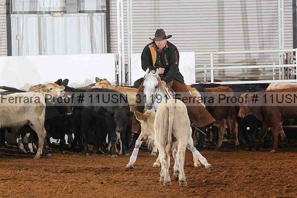 Proof 11usn_31191