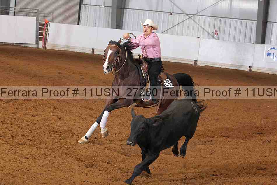 Proof 11usn_27260