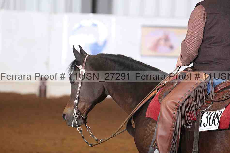 Proof 11usn_27291