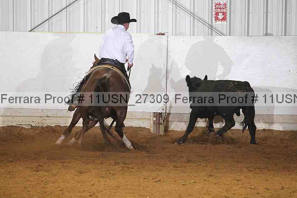 Proof 11usn_27309