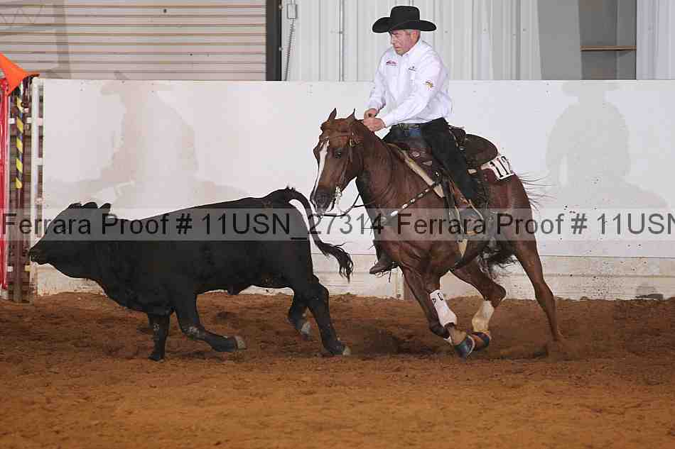 Proof 11usn_27314