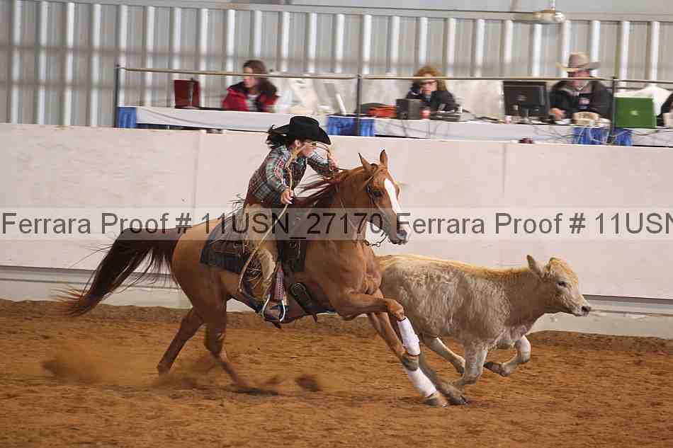 Proof 11usn_27170